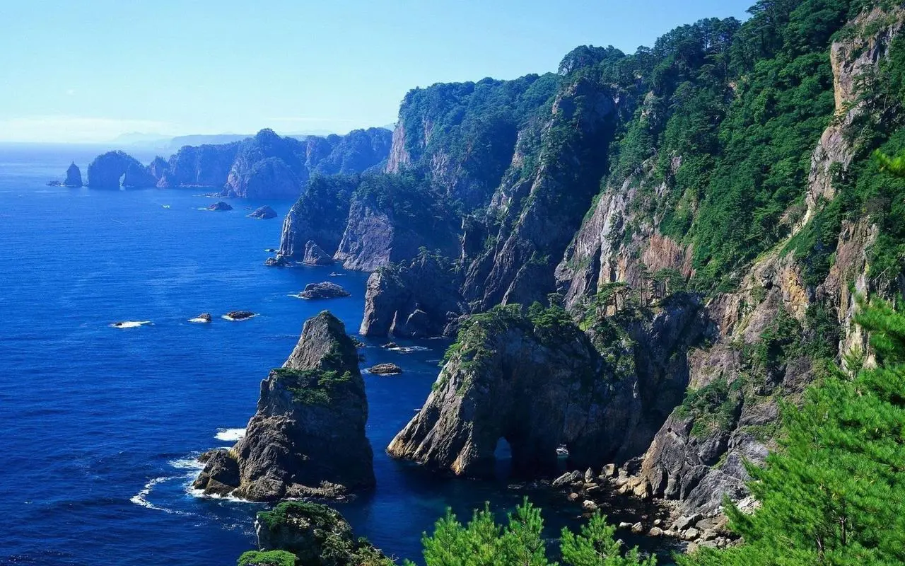 全自动绿色高端